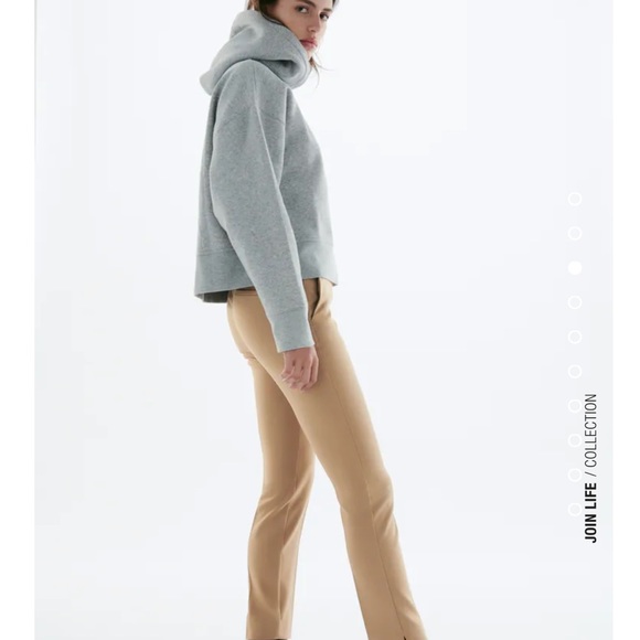 Zara Taupe Brown Pants - Picture 6 of 10